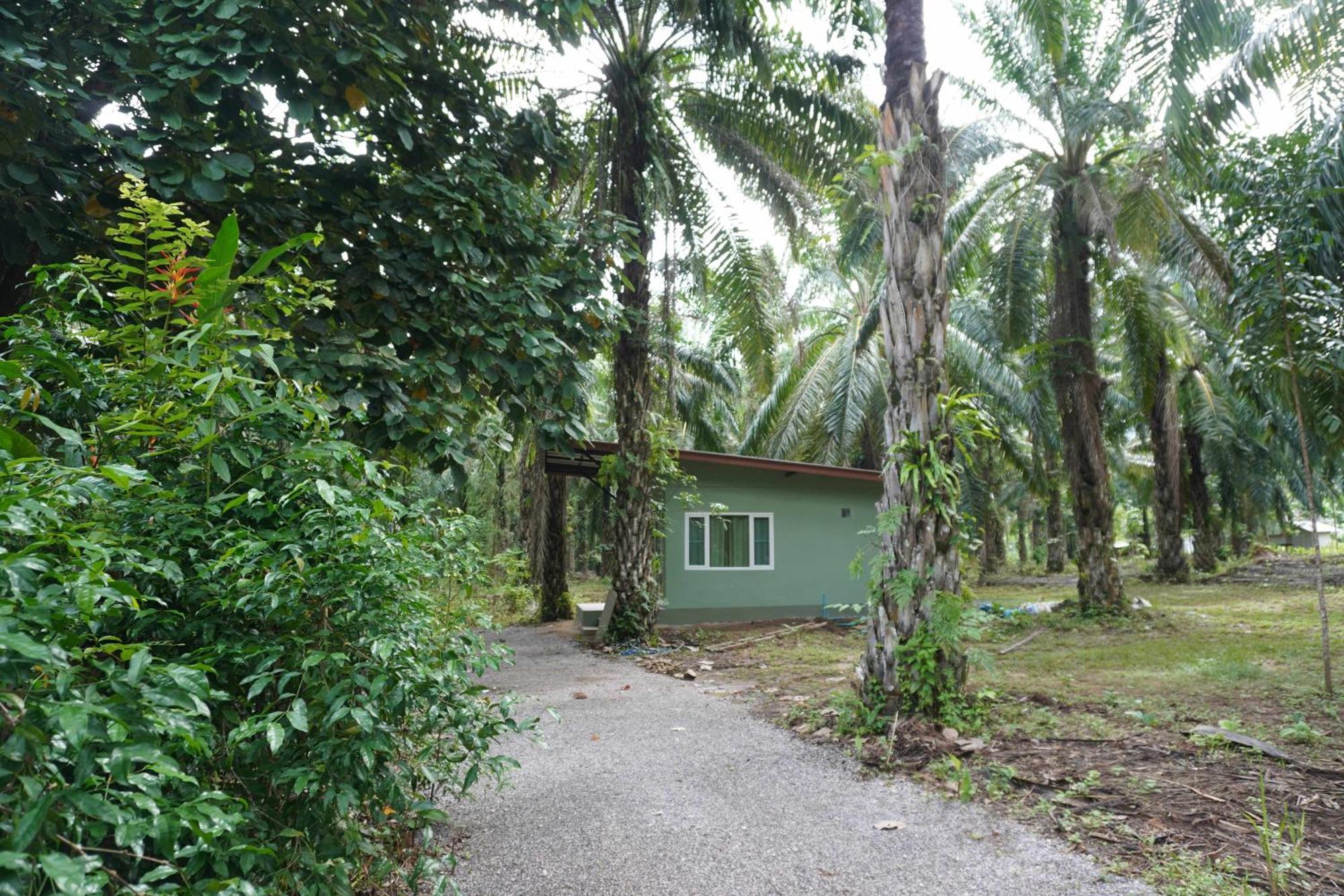 Khao Sok Palmview Resort Khao Sok National Park Exterior photo